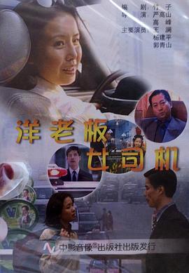 相逢灿烂的日子电视剧影视海报